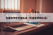 巴西世界杯巴西队员（巴西世界杯队伍）