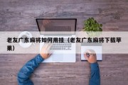 老友广东麻将如何用挂（老友广东麻将下载苹果）