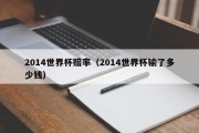 2014世界杯赔率（2014世界杯输了多少钱）