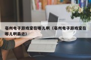 亳州电子游戏室在哪儿啊（亳州电子游戏室在哪儿啊最近）